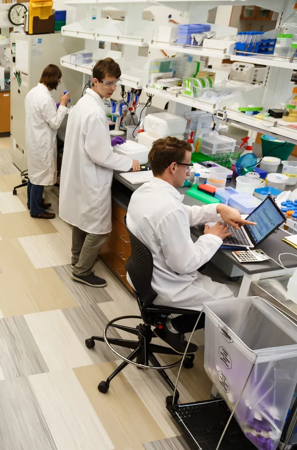 A day in Lab