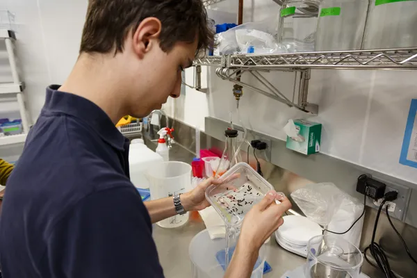 A day in Lab